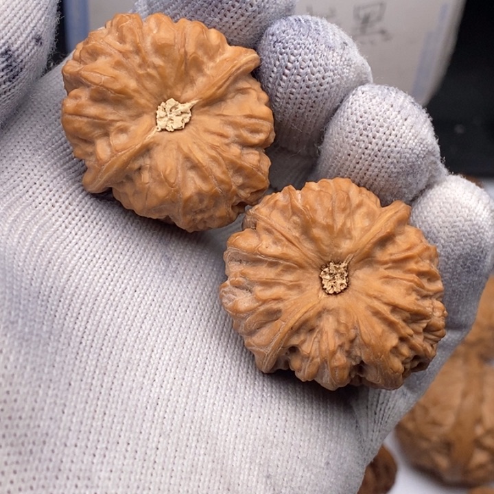 文玩核桃把件门头沟元宝肚子38