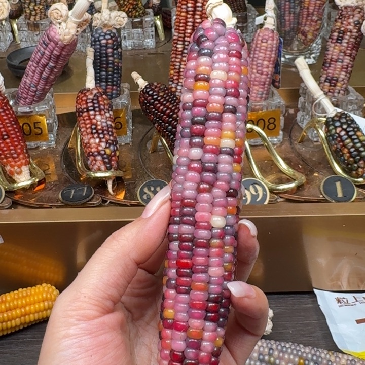 柏香籽/百香籽吊坠h**a