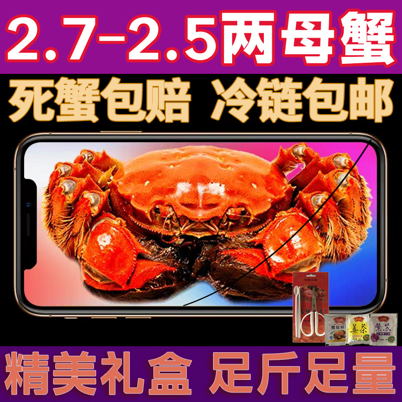 全母蟹2.5~2.7两【活蟹】阳澄天使苏州精品蟹4只-10只礼盒装赠品蟹工具顺丰/京东冷链送货上门青蟹