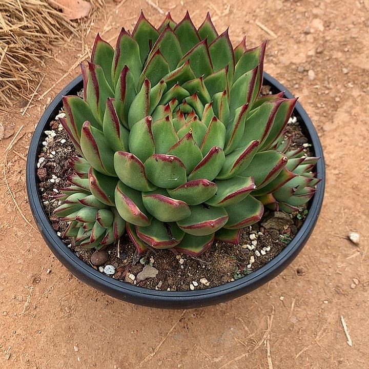 潮***太美肉特价活动开始录