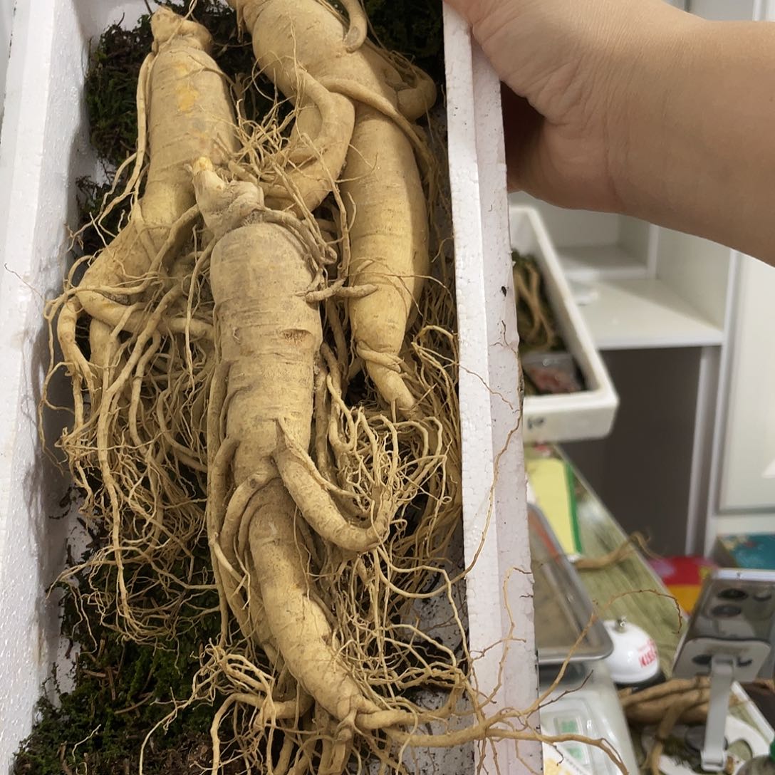 中国大陆长白山的