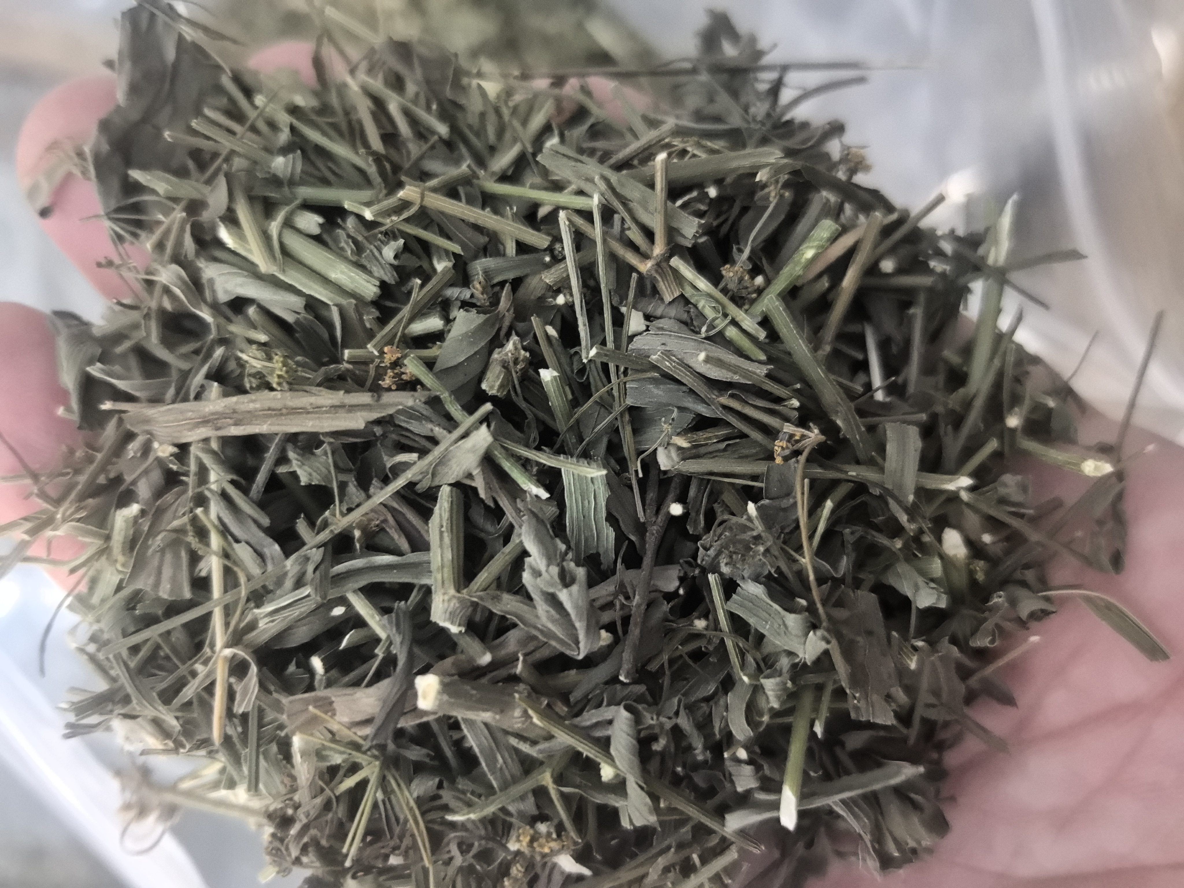 【现收农家好物】 小/柴/湖   藕 150-500g