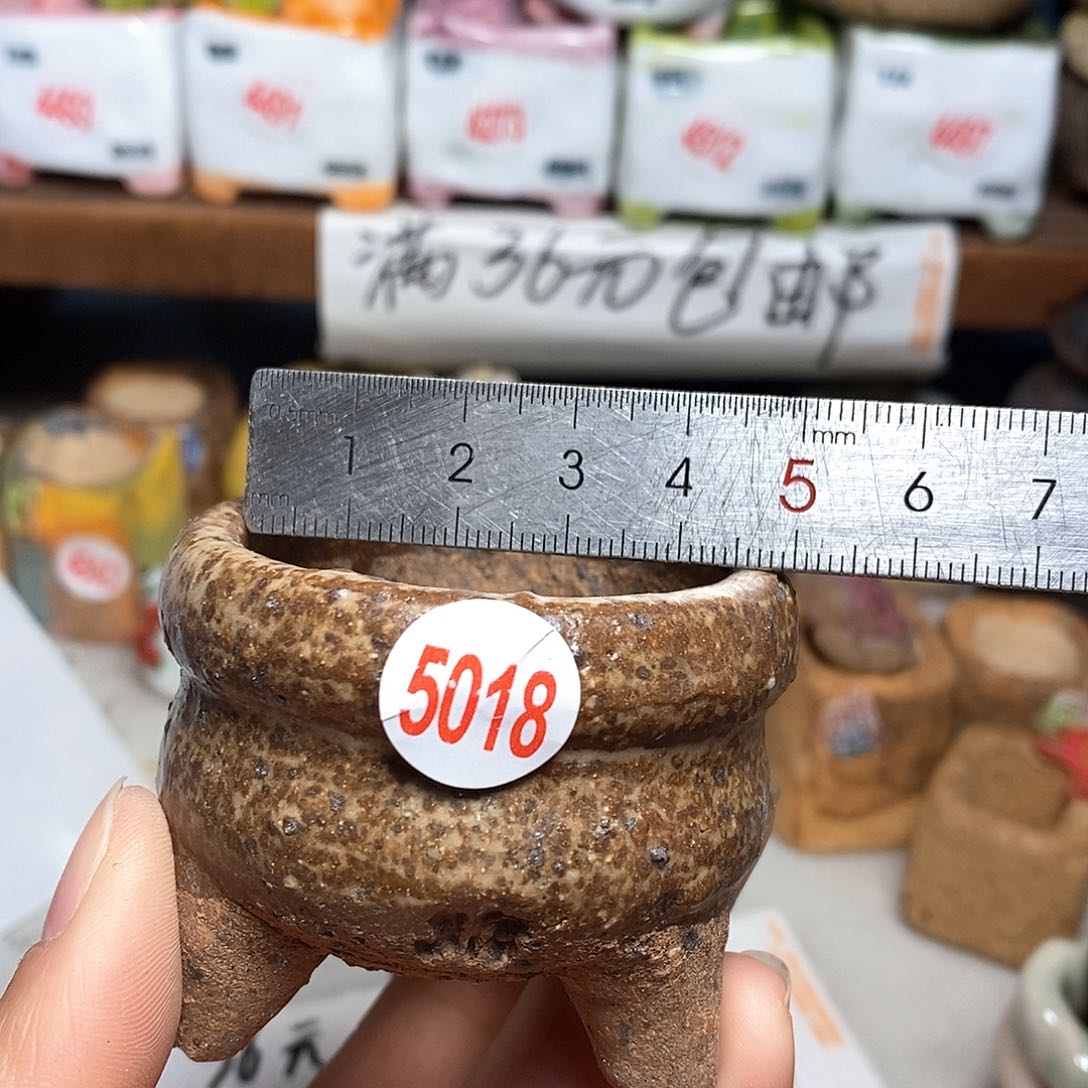 红陶拍5送一个小
