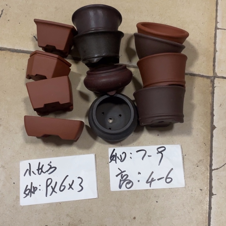 紫砂花盆紫砂花0012