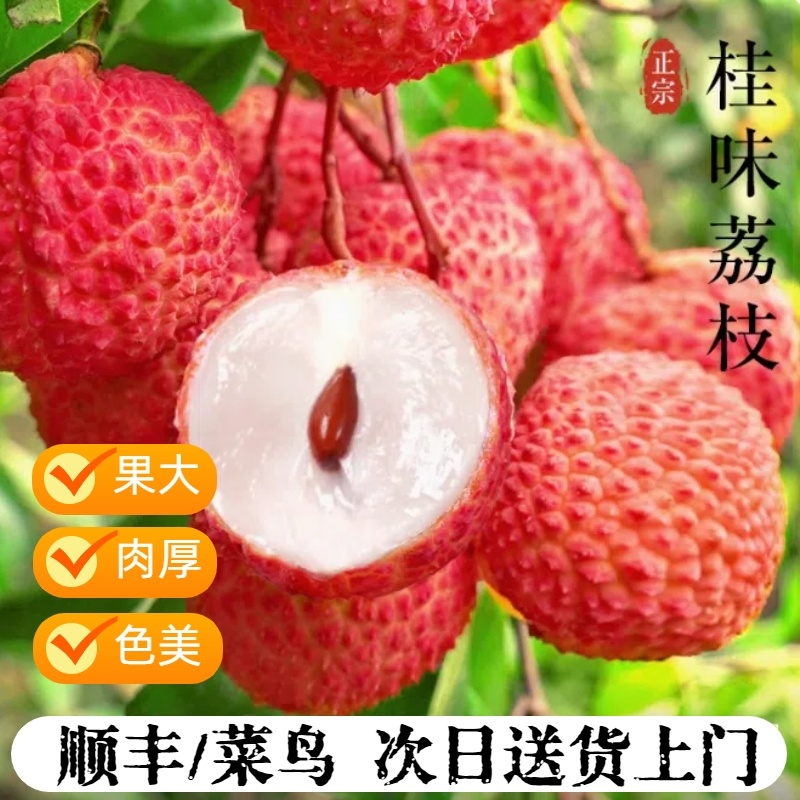 新鲜广州桂味荔枝2.5-8斤【顺丰/菜鸟次日达】