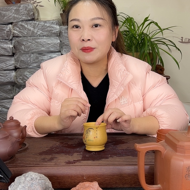 茶壶紫砂宜兴紫砂