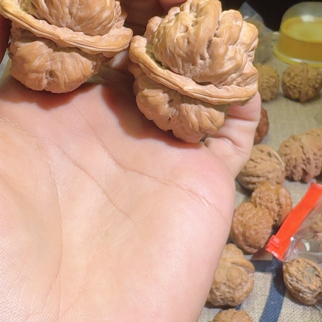 Y***J哈哈哈哈哈哈哈哈哈哈哈哈