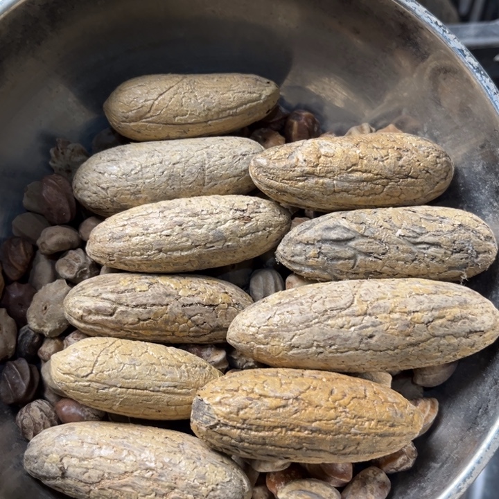 千眼菩提吊坠千眼菩提戏贵10个146号