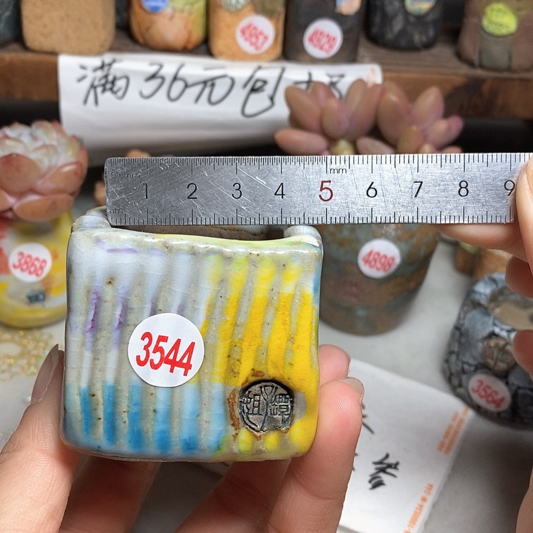 红陶拍5送一个小