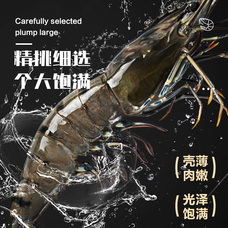 年货节陆丰水产超大黑虎虾特大号黑虎虾金刚虾海鲜水产鲜活速冻商品图
