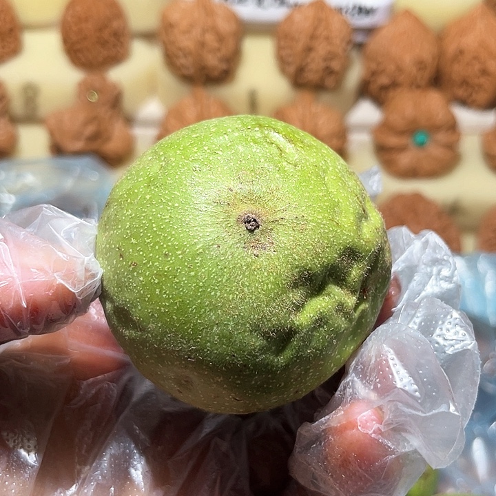 焦***.文玩核桃把件青皮不退不换