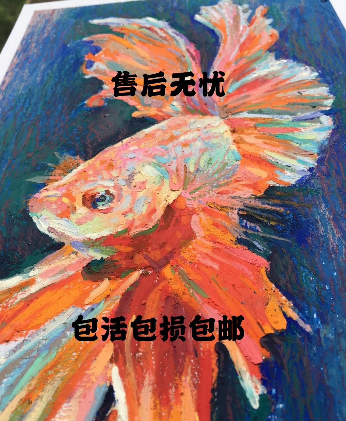 蓝礼服大C1对直播间专属（鱼品种比较贵报损需要完整的开箱视频）