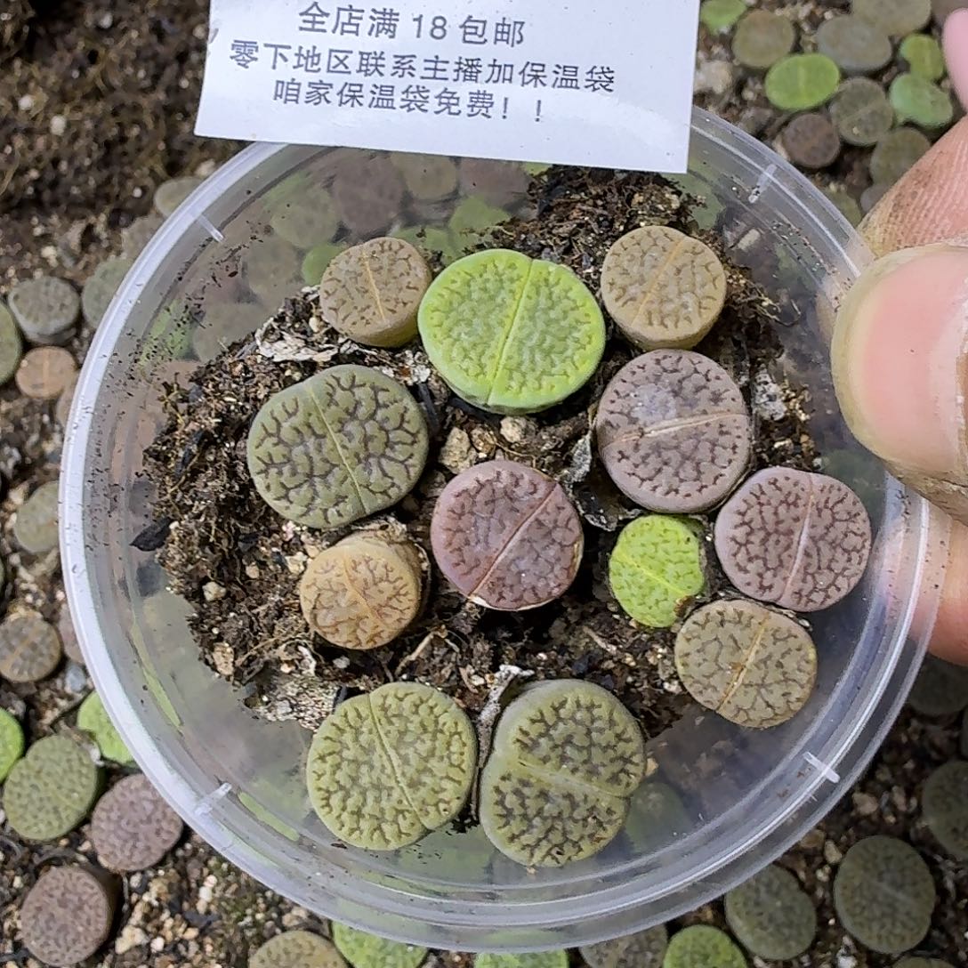 1076 哈哈哈哈哈哈哈哈哈哈