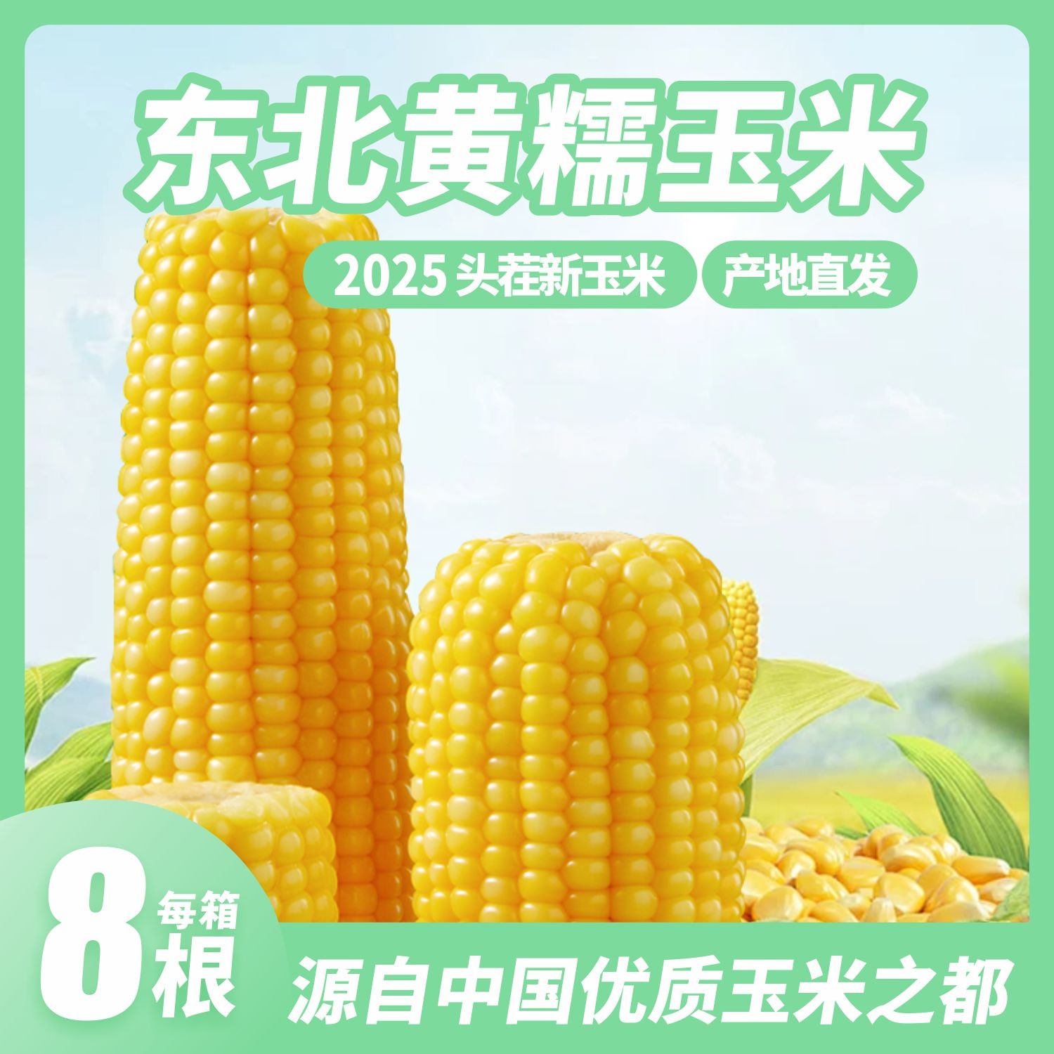 2025头茬新玉米东北黄糯玉米香甜软糯真空包装