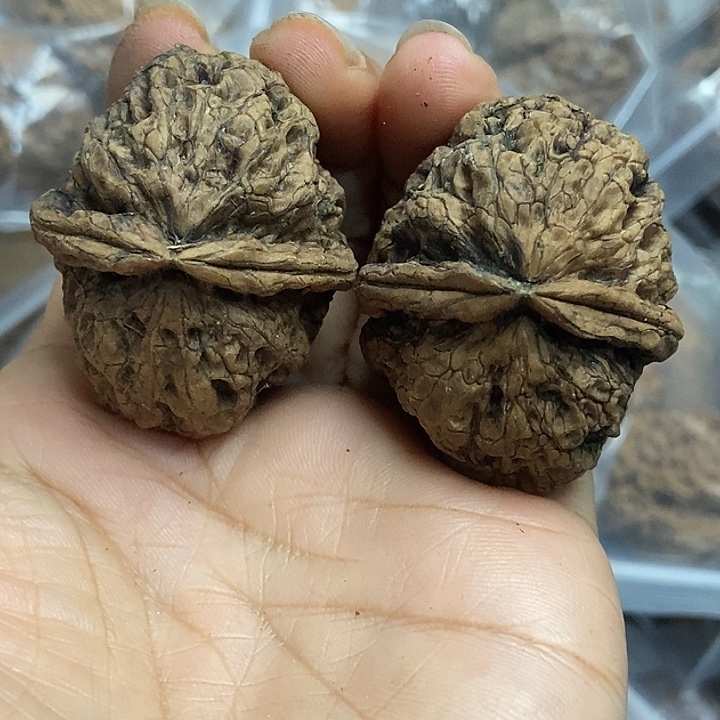 把件文玩核桃云南铁核桃基地51