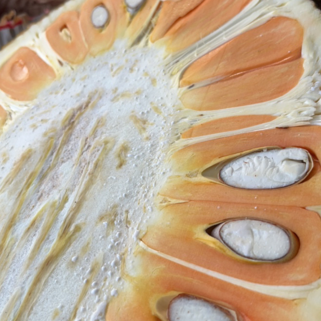 印尼红半个菠萝蜜13元／斤连皮称