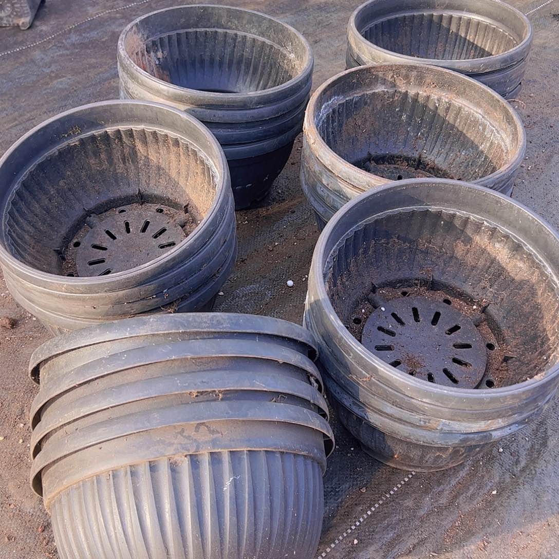 塑料加厚元宝盆24口径4个