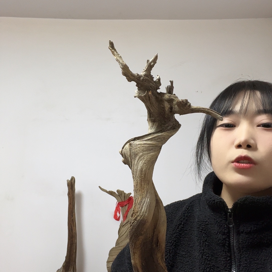 绝***°柏木（崖柏）这个世界上最好的朋友就是