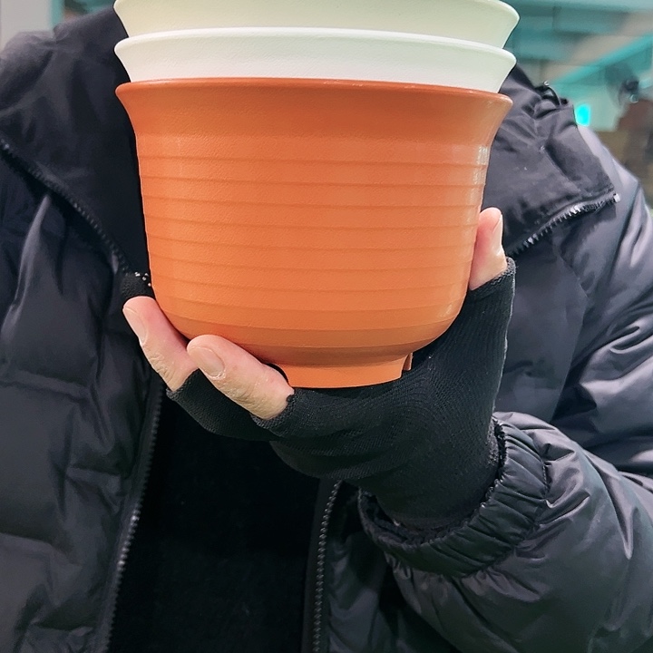 正品矮陶口15高11白色10个无托