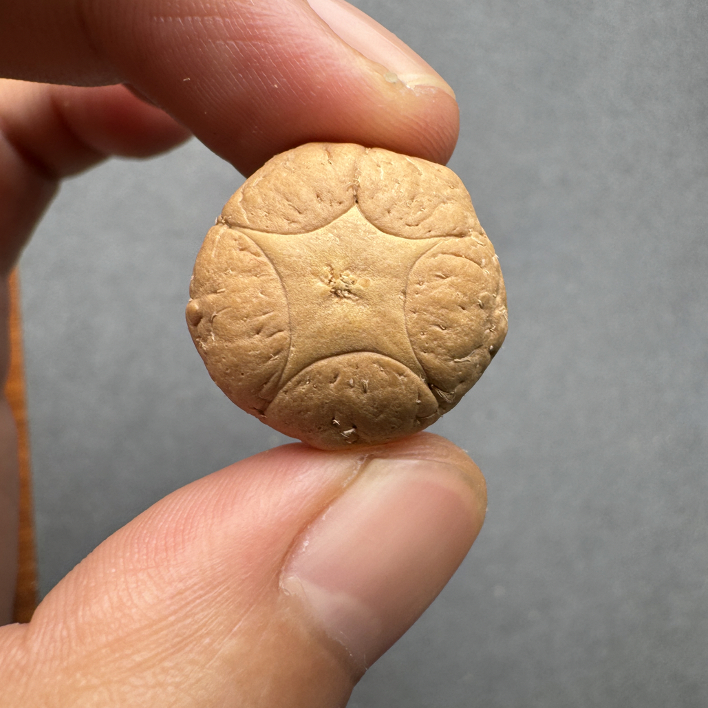 精品21+五星上将菩提凤眼菩提三通佛头，非质量问题开孔不退
