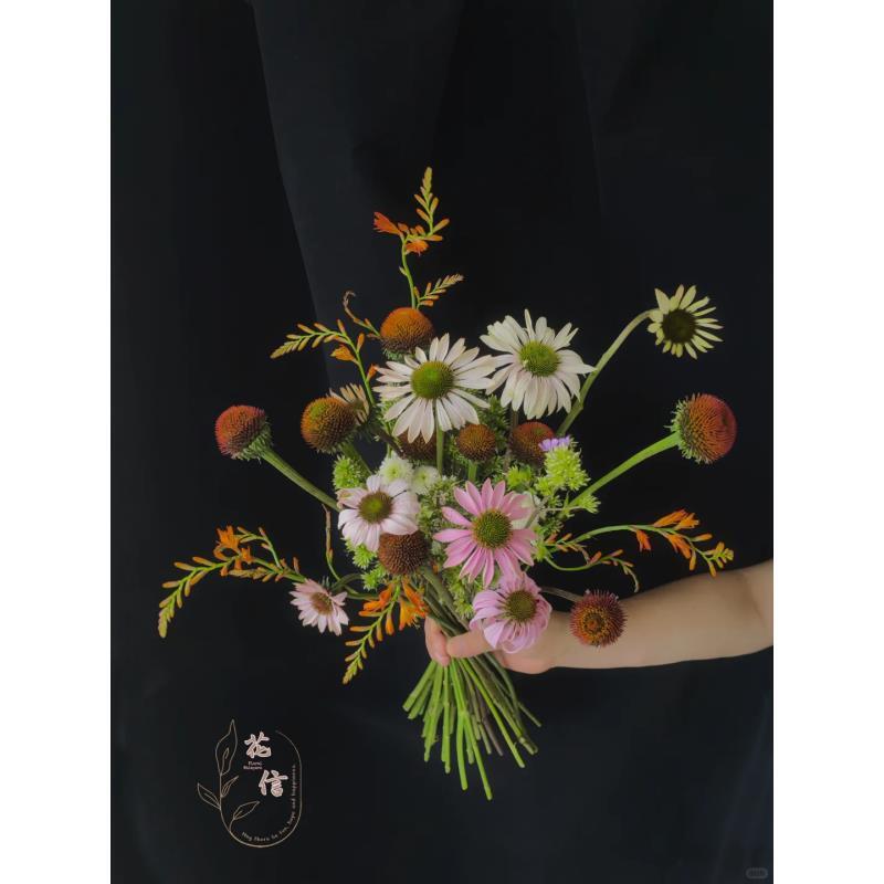 【混色彩虹糖】一单也包邮 两单加品牌营养液5包  云南基地直发鲜花