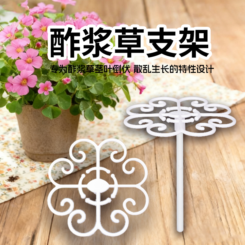 防倒伏园艺支撑架太阳花酢浆草专用支架植物定型美观耐用加厚防腐