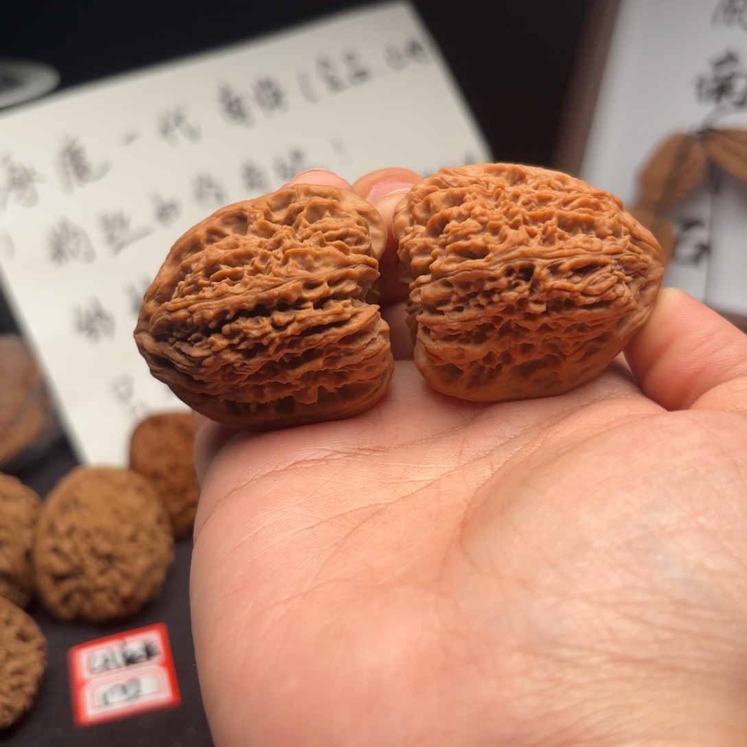 老***旧核桃涿鹿南疆一代