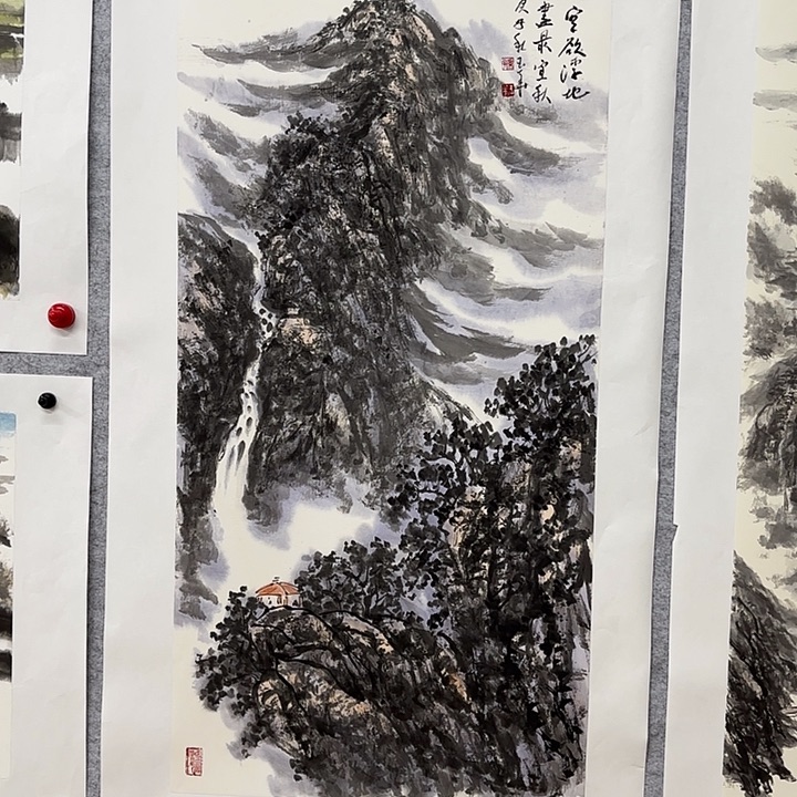 国画花鸟的翅膀是白色和黑色两100.50