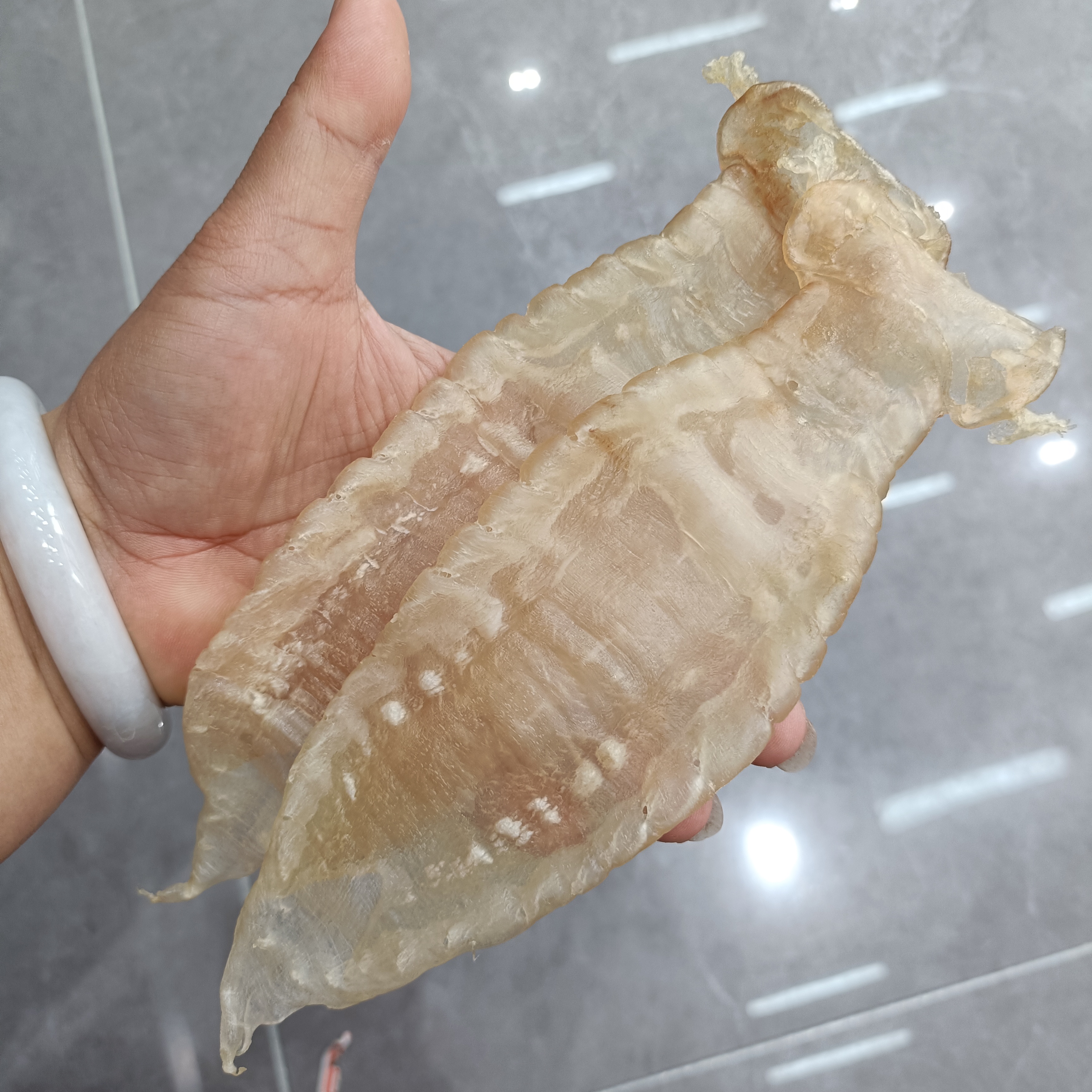 本港赤嘴公13头规格深海干货高品质花胶直播间称重