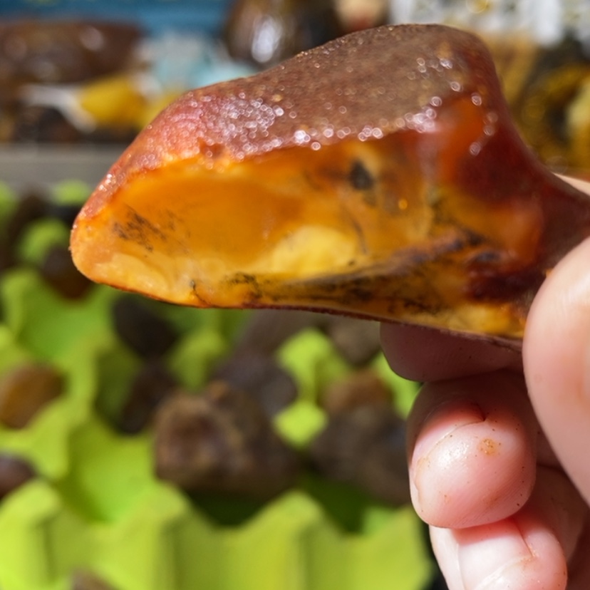 【闪购商品】琥珀珠宝奇石未镶嵌