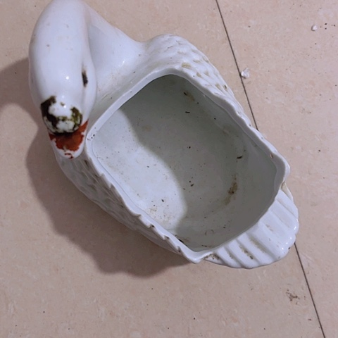 香榧木H*iGhfhghvhbvb