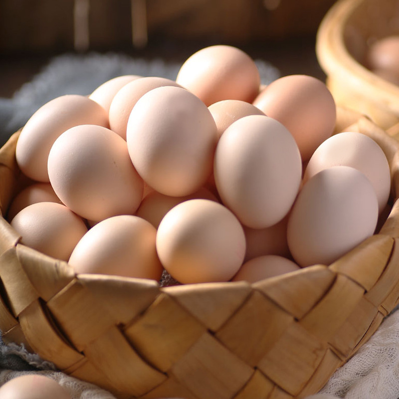 【B农场补贴】新鲜粉壳土鸡蛋50枚 现捡现发破损包赔