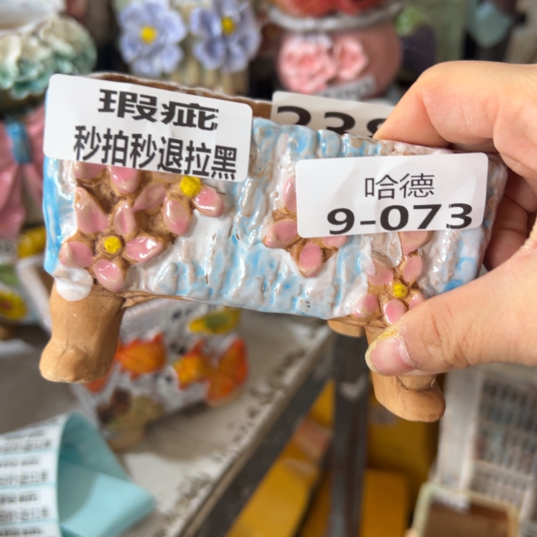 满20米飞秒退拉黑多肉拉黑