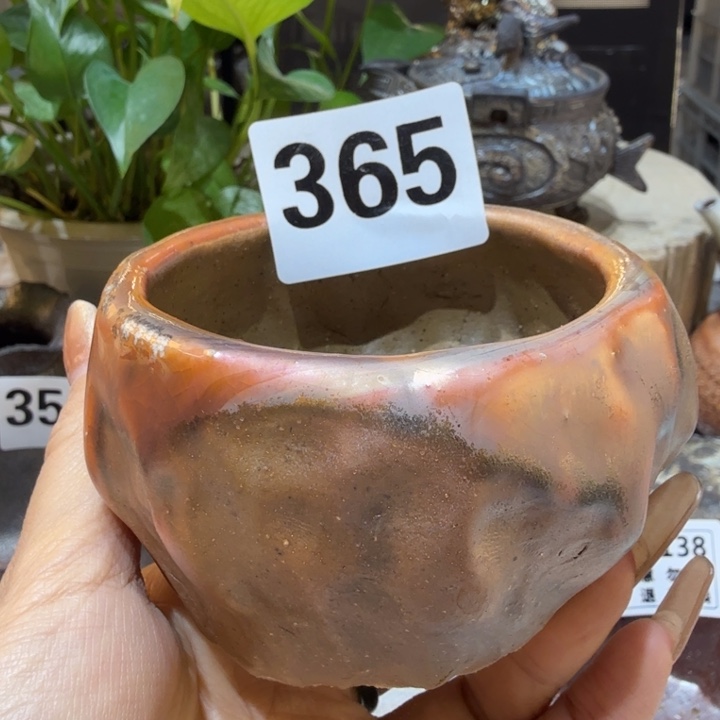 陶盘柴烧新品福利多多