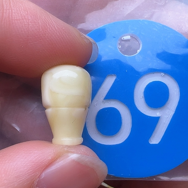 蜜蜡裸石未镶嵌花粉9.7m m