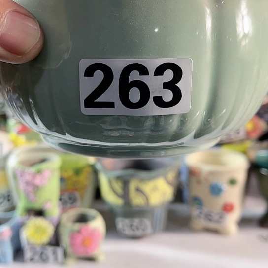 红陶多肉植物花盆