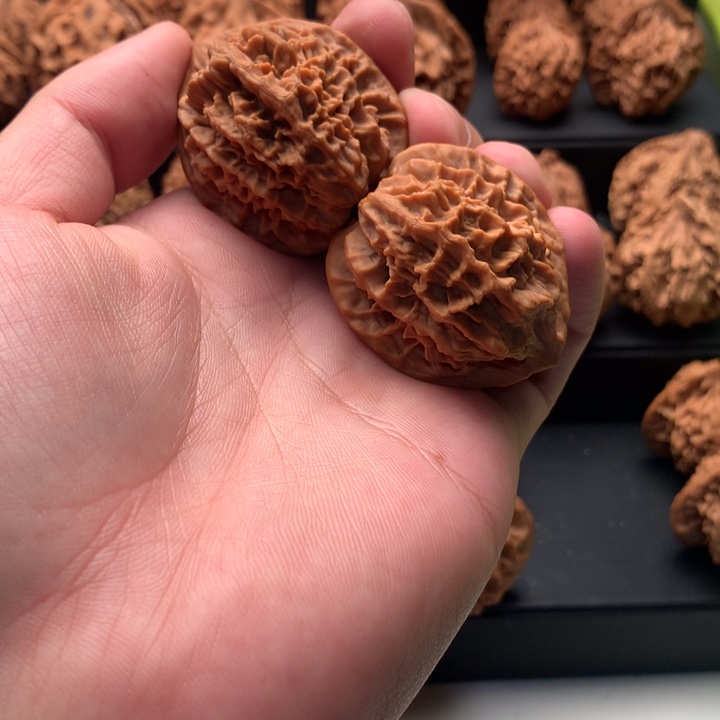 其他核桃喵**喵秦岭的一个