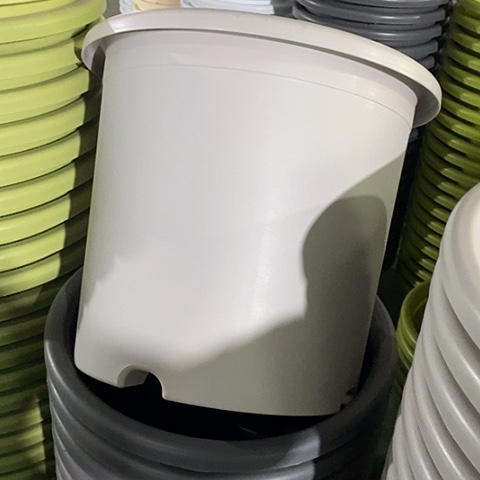 树脂四季9号70个无托灰白