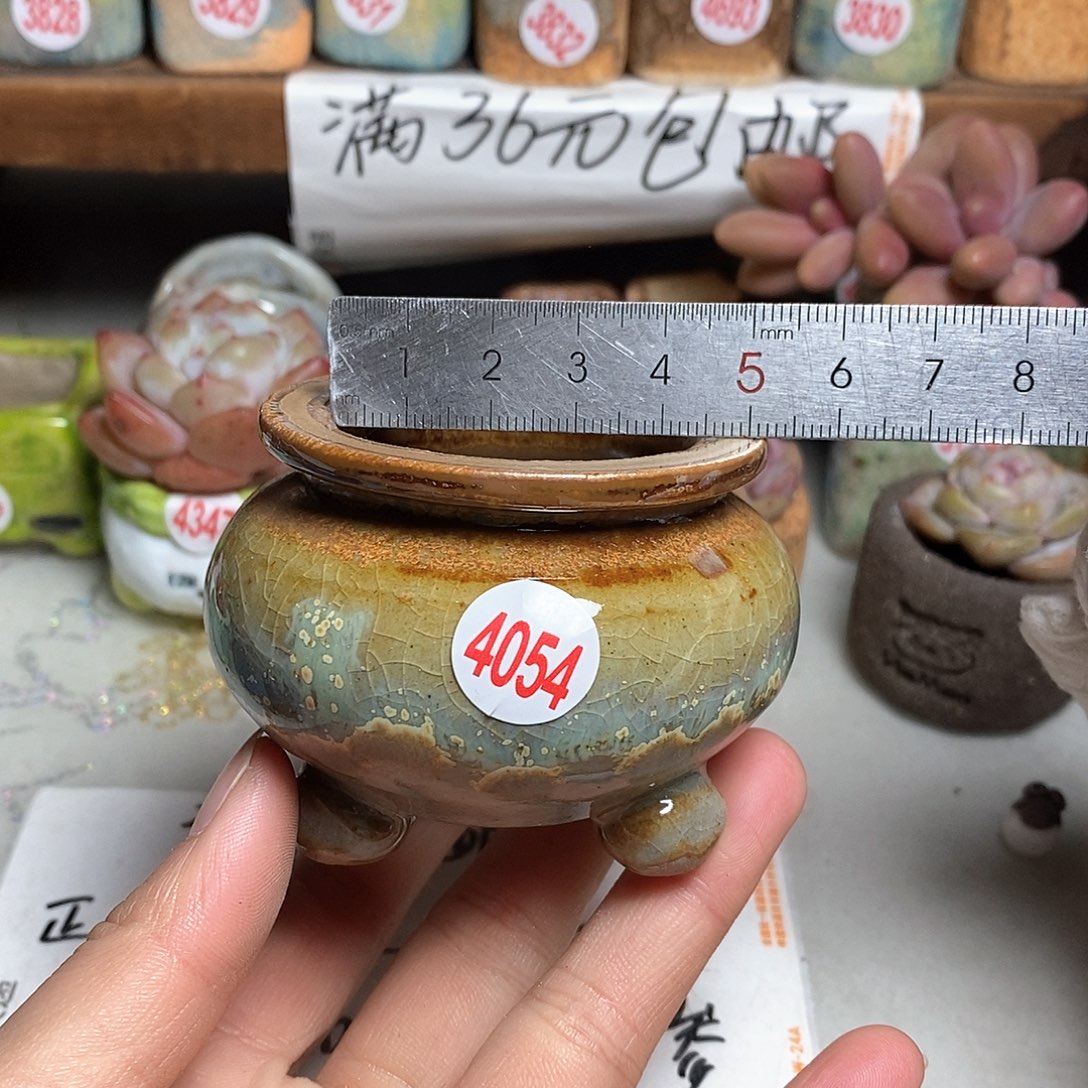 红陶拍5送一个小