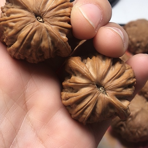 把件文玩核桃磨盘飞磨