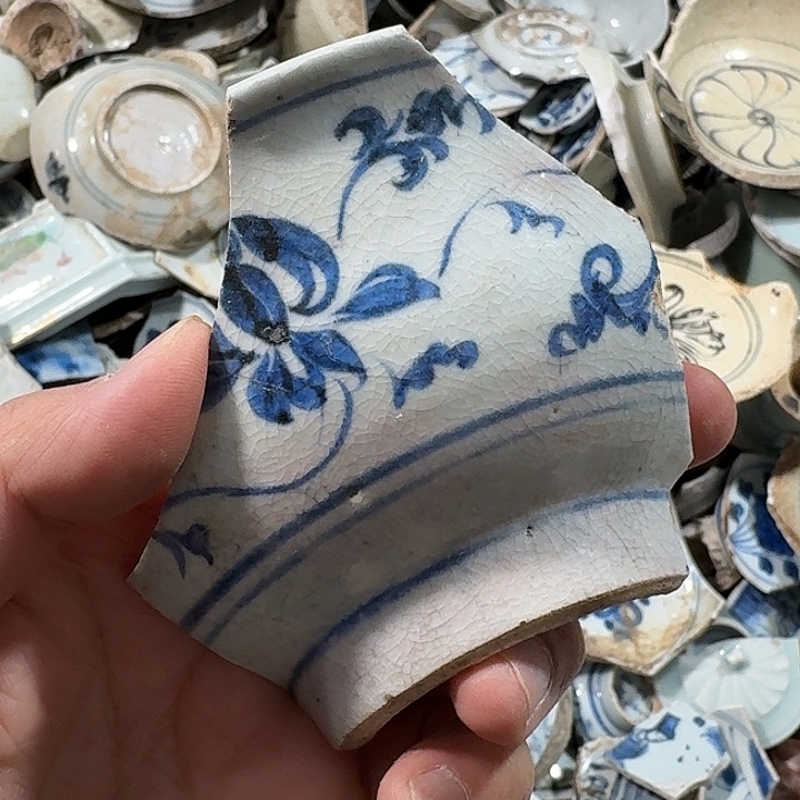 奥***l瓷片瓷片标本，顺丰包邮