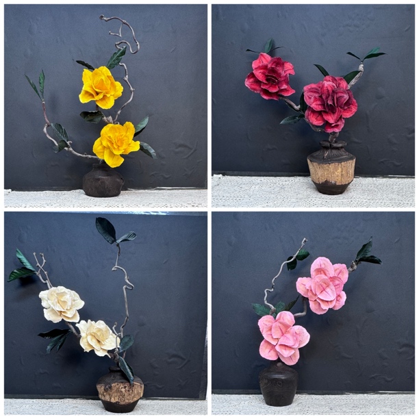 【桌面款】龙枣枝蓝花楹天然干树枝侘寂风家居室内枯枝摆件造型装饰