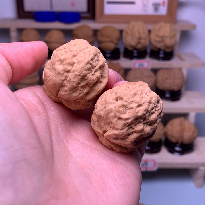 文玩核桃把件17龙脊32尺