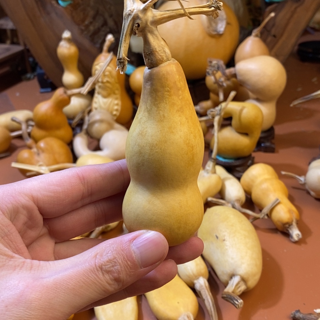 富***艺教练教练咯教练经理