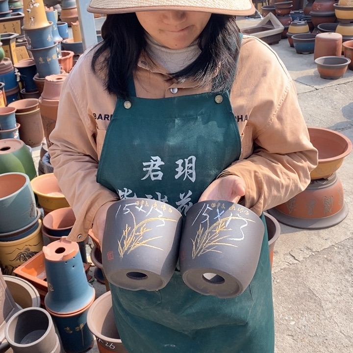 紫砂花盆盆栽花卉苗木种植