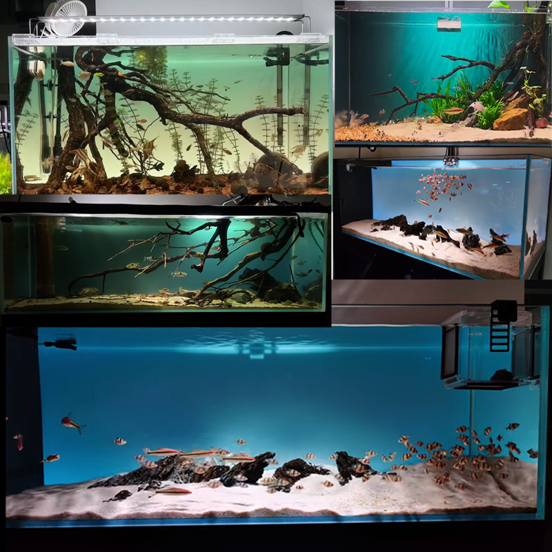 鱼缸背景贴纸蓝白海洋蓝渐变色南美缸草缸三湖慈鲷造景5D定制