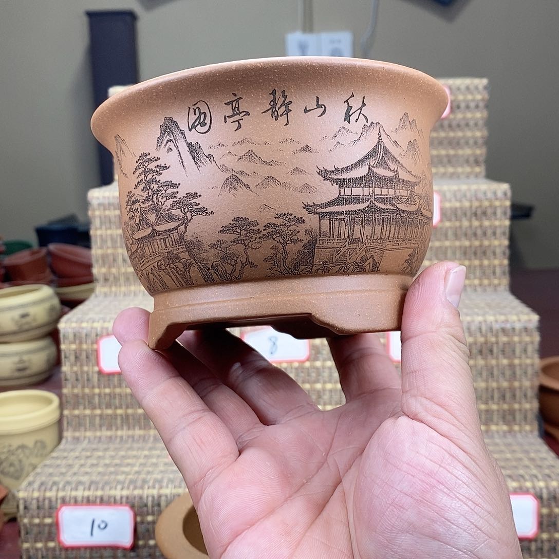 紫砂花盆我在等一