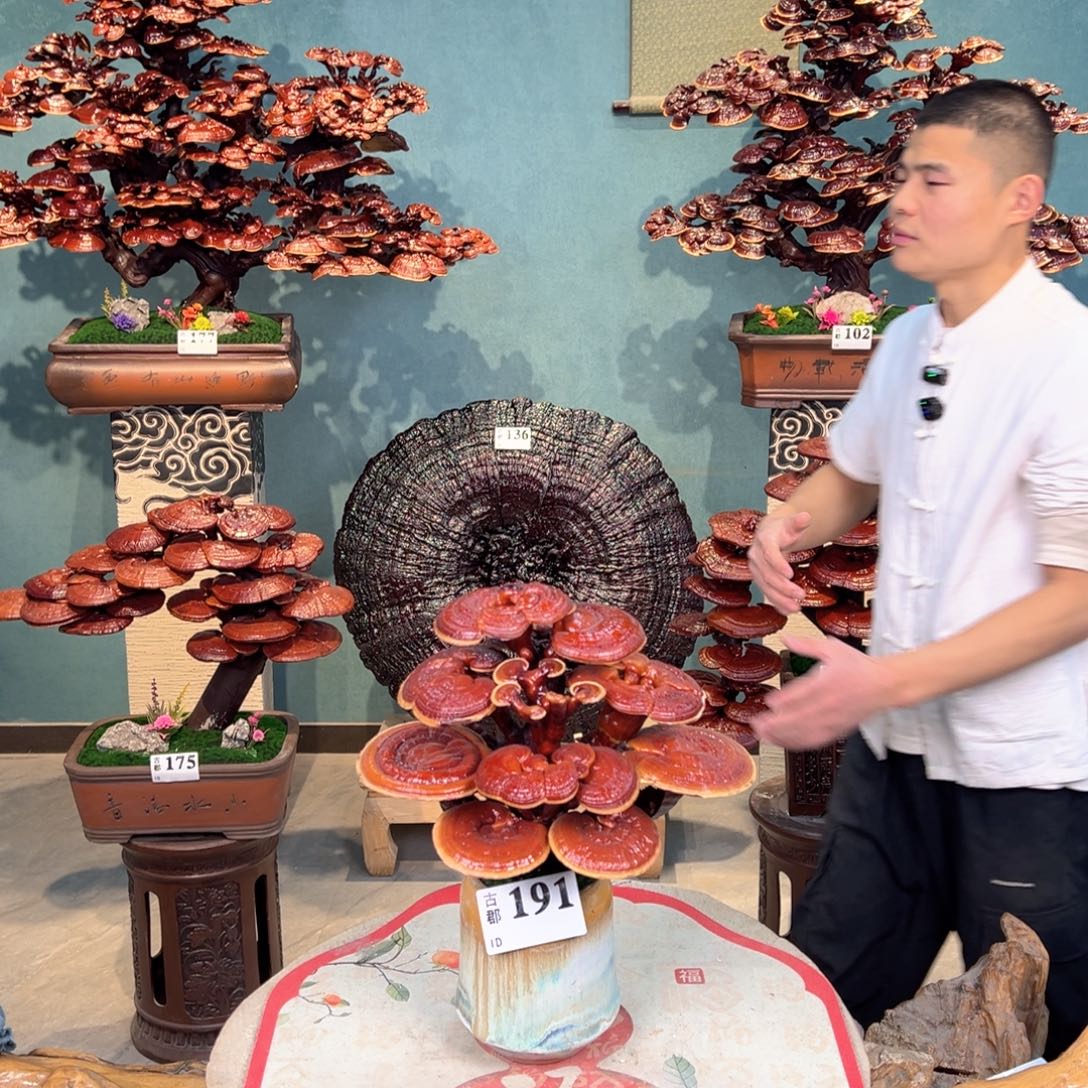 樱****无花朵8888888888