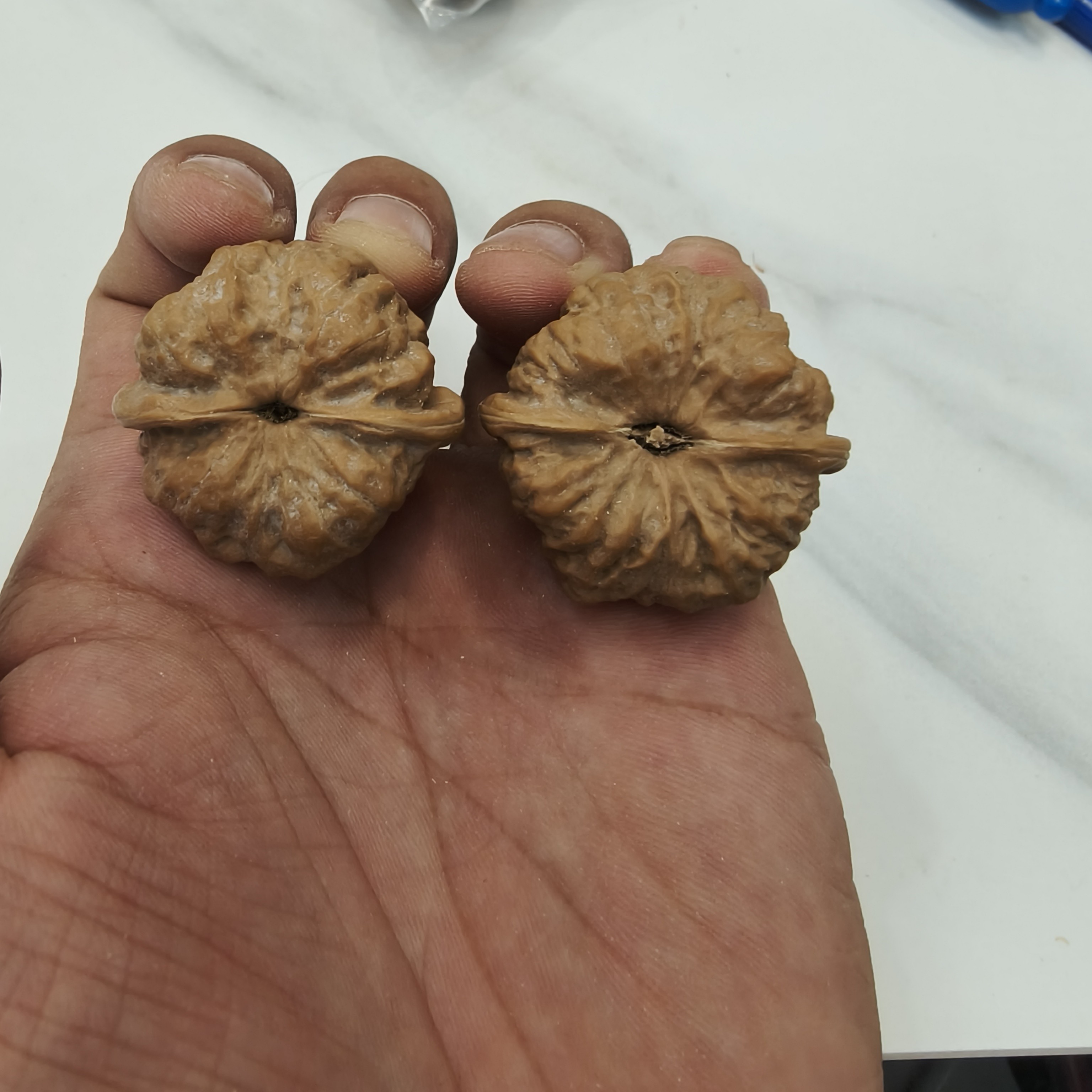 全品蛤蟆头文玩核桃尺寸可选天然无修手捻佳品