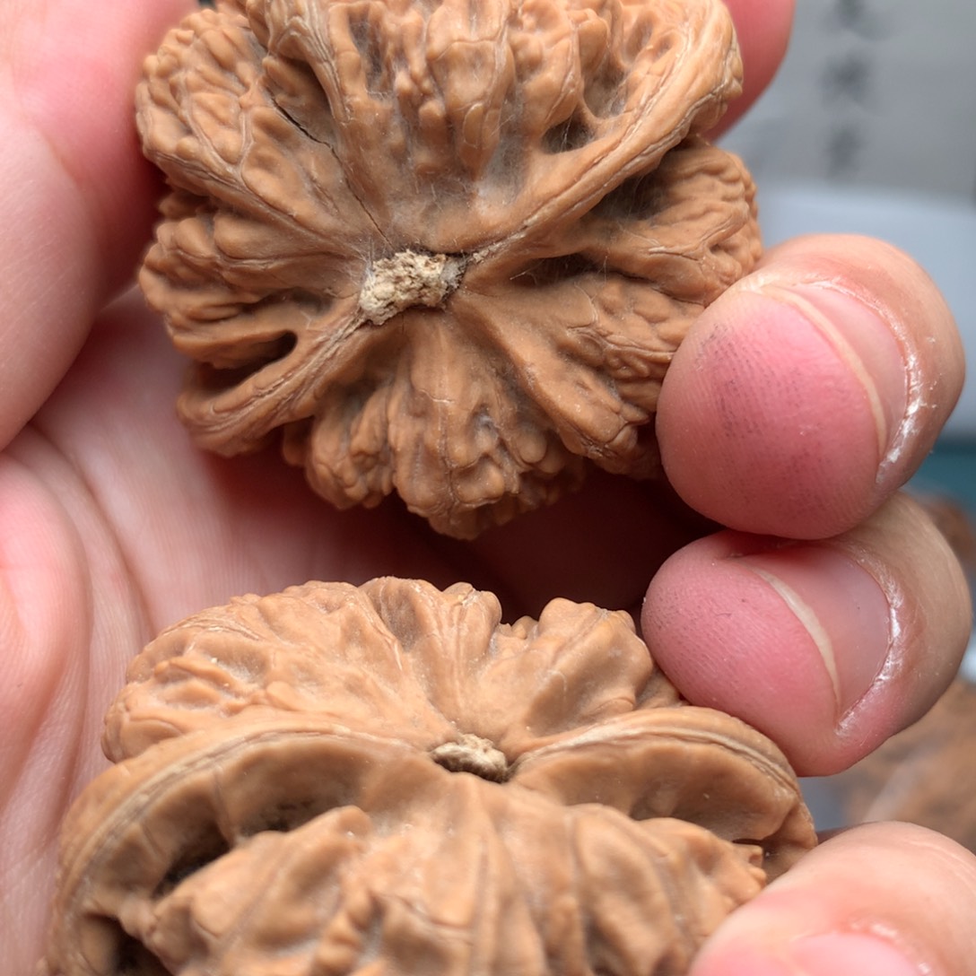 吊坠文玩核桃晓**月粗筋37